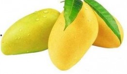 芒果和百色最新爆料,揭秘背后惊人真相