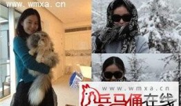 爆料母子失踪案件最新,警方全力追查，真相渐露端倪