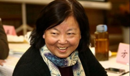 关于方方日记的最新爆料,揭秘背后真相与争议