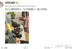 阿友最新爆料视频,热点事件背后真相曝光