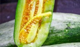 网红吃瓜最新爆料,揭秘娱乐圈惊天大秘密！