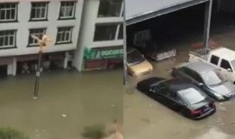 四川电力爆料事件最新