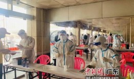 惠州良井爆料最新消息,揭秘神秘事件背后的真相