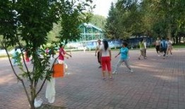 吉林公园爆料最新消息,神秘事件引发热议，真相即将揭晓！