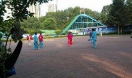 吉林公园爆料最新消息,神秘事件引发热议，真相即将揭晓！