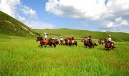 草原先生最新爆料