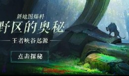 爆料王者峡谷视频大全最新,揭秘最新爆料视频大全