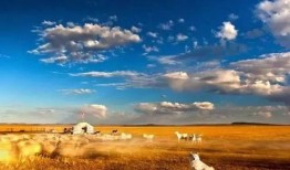 草原先生最新爆料