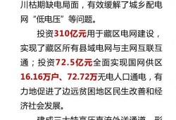 四川电力爆料事件最新