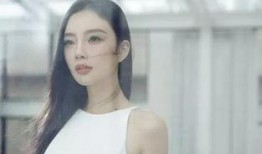 爆料李小璐视频事件最新,真相与争议交织