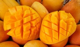 芒果和百色最新爆料,揭秘背后惊人真相