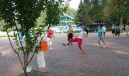 吉林公园爆料最新消息,神秘事件引发热议，真相即将揭晓！