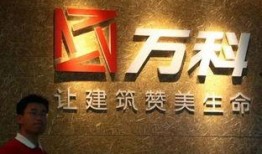 万科装修爆料事件最新情况,最新进展揭秘，业主权益再引关注