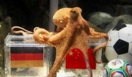 章鱼哥最新爆料,娱乐圈幕后真相大曝光！