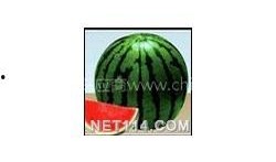 江苏西瓜视频爆料最新