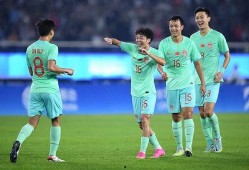 爆料国足主帅视频大全最新,最新视频大全深度解析