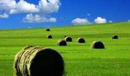 草原先生最新爆料