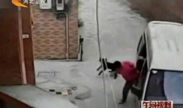 最新偷鱼爆料视频大全图片,视频大全图片揭秘惊心动魄瞬间