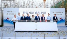 河南车险最新爆料电话,揭秘电话背后的真相与变革