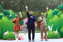 纳维莱特最新爆料视频大全,揭秘幕后真相与惊人内幕
