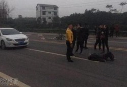 杞县柳庄车祸最新爆料消息,悲剧现场细节披露，调查深入进行中