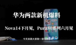 pura80最新爆料,最新爆料揭示行业惊人内幕！”