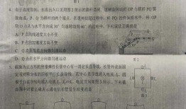 西京最新爆料新闻事件是真的吗,事件真实性引发热议