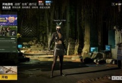 pubg2024最新皮肤爆料,炫酷造型，等你来战！