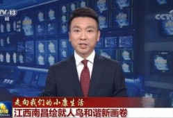 染柒最新爆料新闻联播,新闻联播最新爆料背后的故事